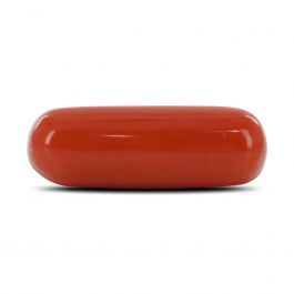 Red Coral (Moonga) - 4.23 Carat