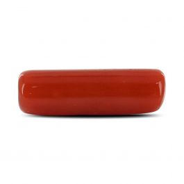 Red Coral (Moonga) - 4.14 Carat