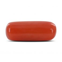 Red Coral (Moonga) - 4.05 Carat