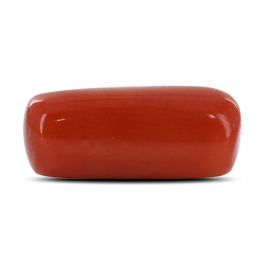 Red Coral (Moonga) - 4.31 Carat