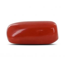 Red Coral (Moonga) - 4.35 Carat