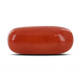Red Coral (Moonga) - 4.16 Carat