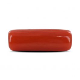 Red Coral (Moonga) - 4.18 Carat