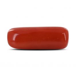 Red Coral (Moonga) - 4.18 Carat