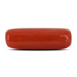 Red Coral (Moonga) - 4.34 Carat