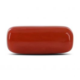 Red Coral (Moonga) - 10.35 Carat