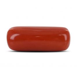 Red Coral (Moonga) - 10.26 Carat
