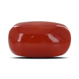 Red Coral (Moonga) - 17.14 Carat 