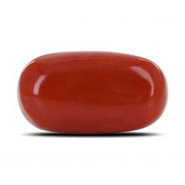 Red Coral (Moonga) - 11 Carat