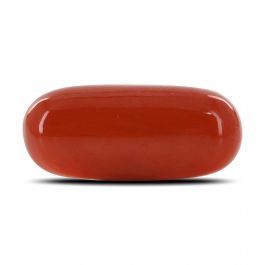Red Coral (Moonga) - 10.43 Carat