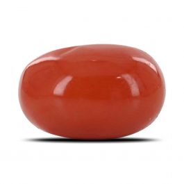 Red Coral (Moonga) - 5.89 Carat 