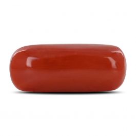 Red Coral (Moonga) - 10.59 Carat