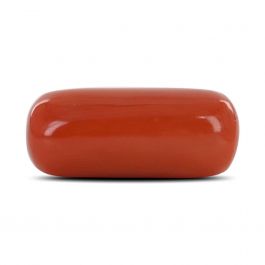 Red Coral (Moonga) - 10.52 Carat