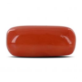 Red Coral (Moonga) - 10.25 Carat