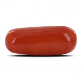 Red Coral (Moonga) - 10.2 Carat