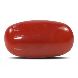 Red Coral (Moonga) - 6.68 Carat