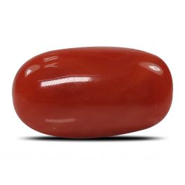 Red Coral (Moonga) - 5.28 Carat 