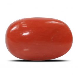 Red Coral (Moonga) - 6.5 Carat