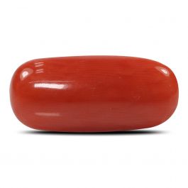 Red Coral (Moonga) - 6.52 Carat
