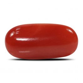 Red Coral (Moonga) - 6.27 Carat
