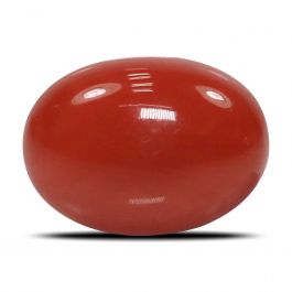 Red Coral (Moonga) - 5.08 Carat