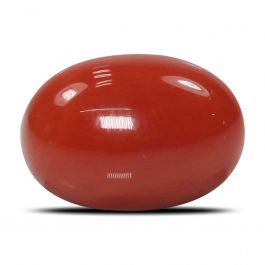 Red Coral (Moonga) - 5.88 Carat