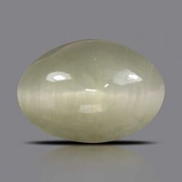 Quartz Cat's Eye - 5.54 Carat