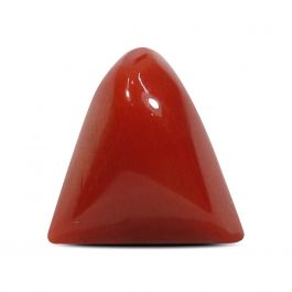 Red Coral (Moonga) - 5.16 Carat