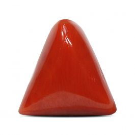 Red Coral (Moonga) - 5.25 Carat