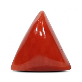 Red Coral (Moonga) - 5.01 Carat