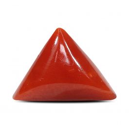 Red Coral (Moonga) - 5.09 Carat