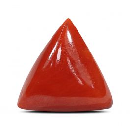Red Coral (Moonga) - 5.25 Carat