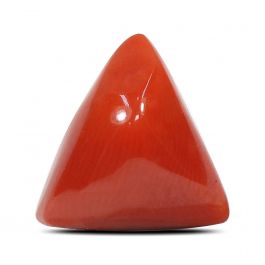 Red Coral (Moonga) - 5.1 Carat