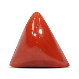 Red Coral (Moonga) - 5.21 Carat