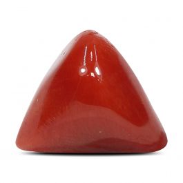 Red Coral (Moonga) - 7.68 Carat