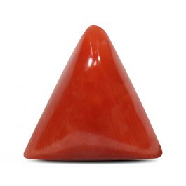 Red Coral (Moonga) - 6.62 Carat