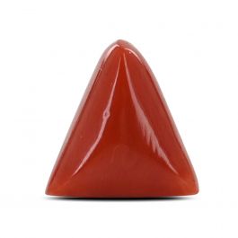 Red Coral (Moonga) - 6.74 Carat