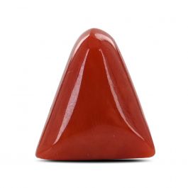 Red Coral (Moonga) - 6.5 Carat