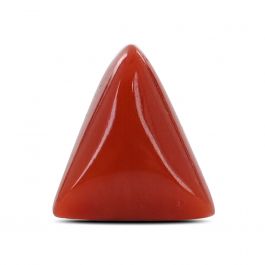 Red Coral (Moonga) - 6.93 Carat 