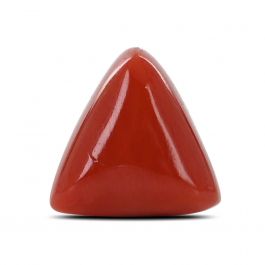 Red Coral (Moonga) - 7.03 Carat