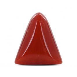 Red Coral (Moonga) - 6.52 Carat