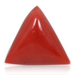 Red Coral (Moonga) - 5.64 Carat 
