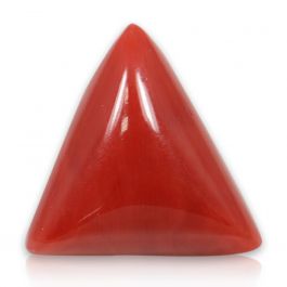 Red Coral (Moonga) - 10.51 Carat