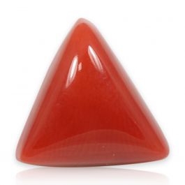 Red Coral (Moonga) - 6.05 Carat