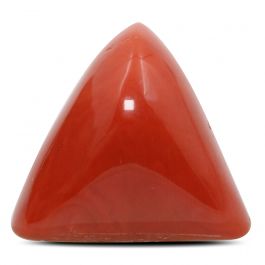 Red Coral (Moonga) - 28.62 Carat