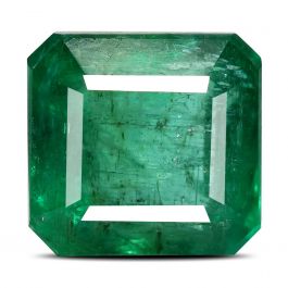 Zambian Emerald (Panna) - 8.67 Carat
