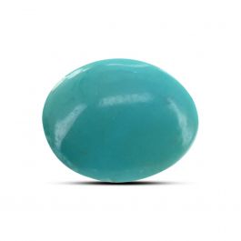 Arizona Turquoise (Firoza) 9.72 Carat