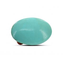 Arizona Turquoise (Firoza) 10.11 Carat