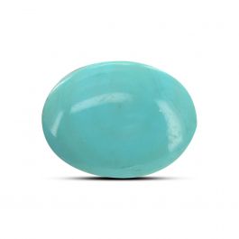 Arizona Turquoise (Firoza) 9.29 Carat