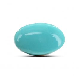 Arizona Turquoise (Firoza) 8.74 Carat
